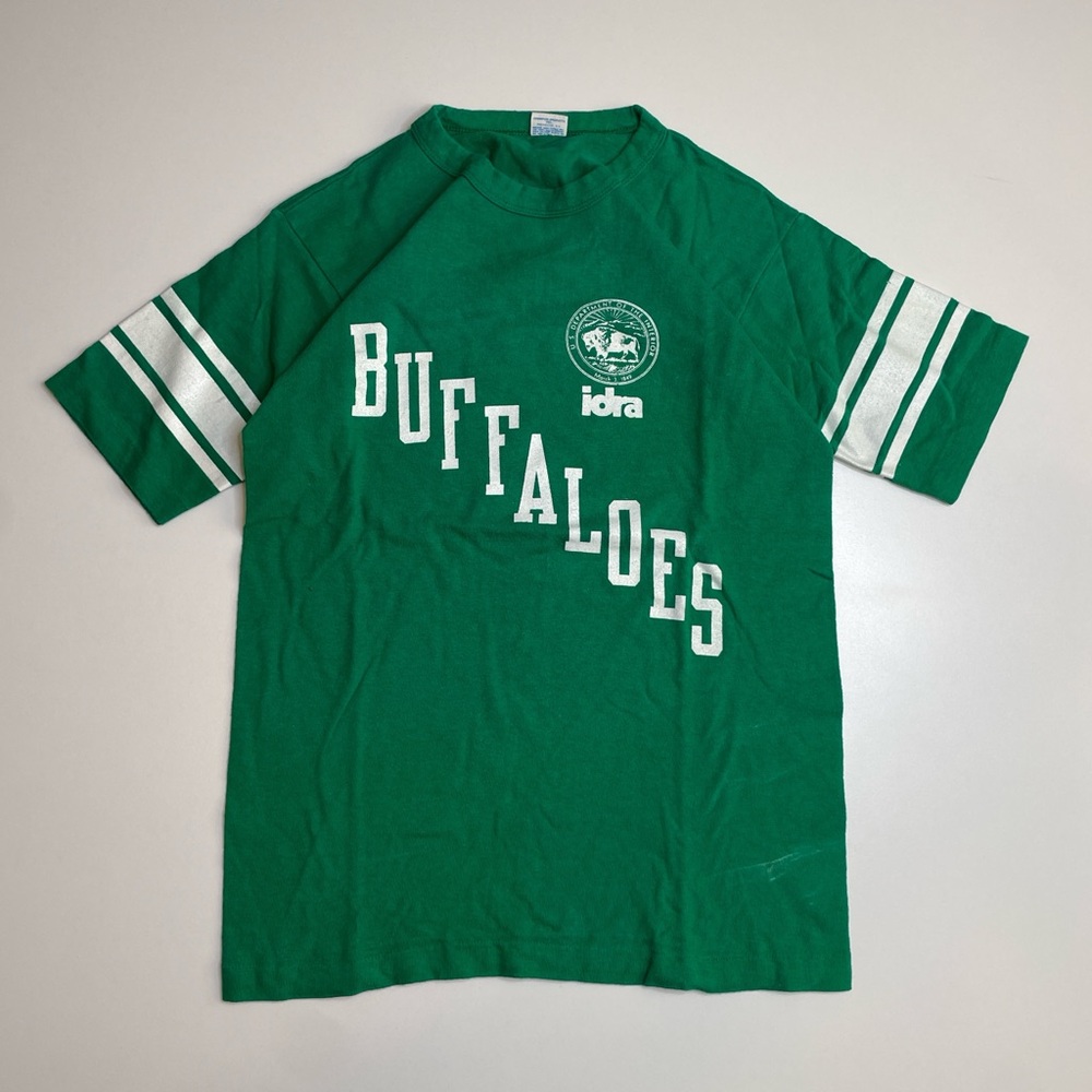 Vintage 70’s US Department Of Interior IDRA Blue Bar Champion Green T-shirt L